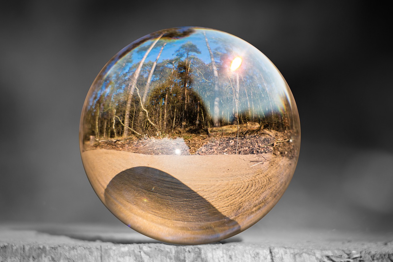 Image - glass ball tree stump forest
