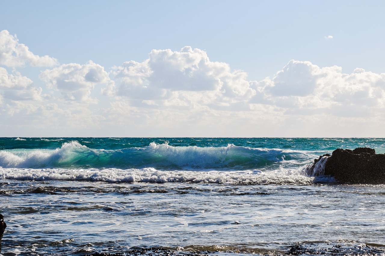 Image - wave smashing sea coast nature