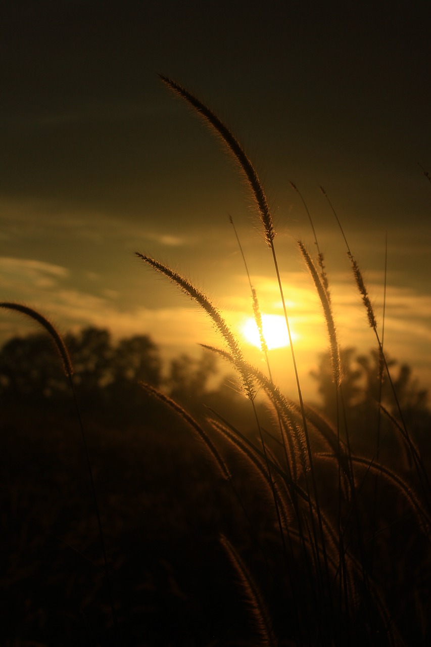 Image - sunset sky afternoon summer sun