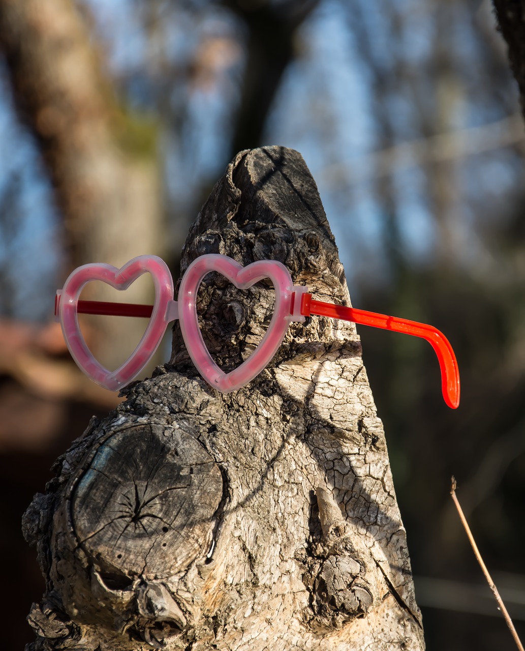 Image - fun tree glasses happy child
