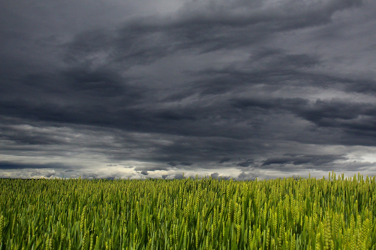 Image - clouds summer storm clouds form