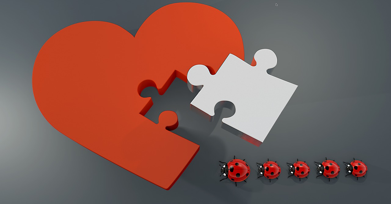 Image - lucky ladybug heart puzzle