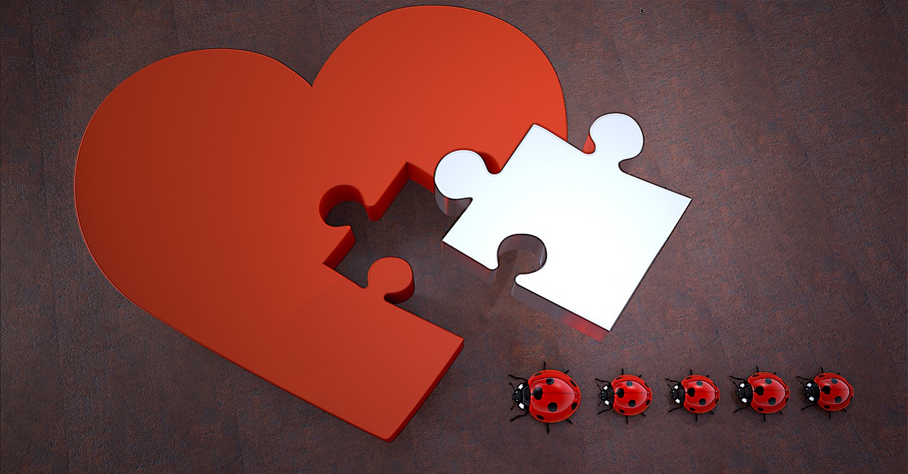 Image - lucky ladybug heart puzzle