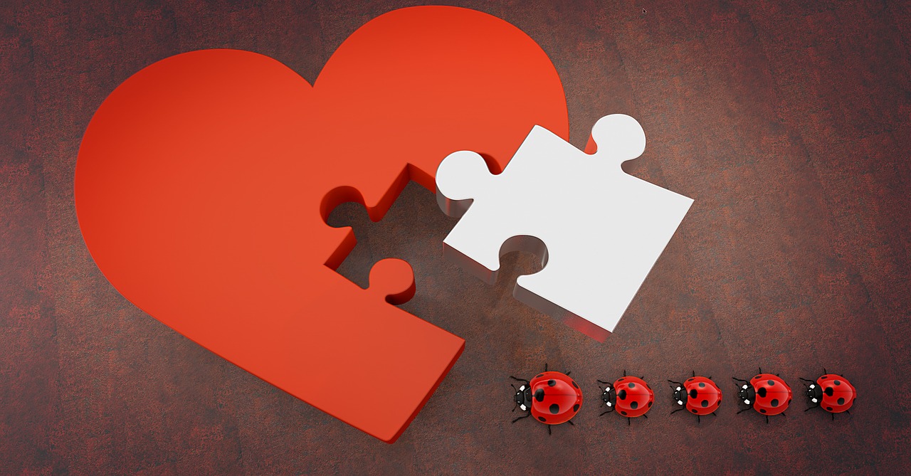 Image - lucky ladybug heart puzzle