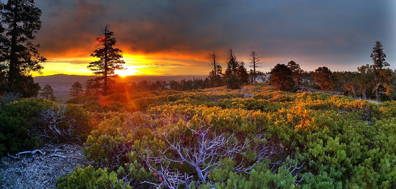 Image - sunrise scenic landscape light sun