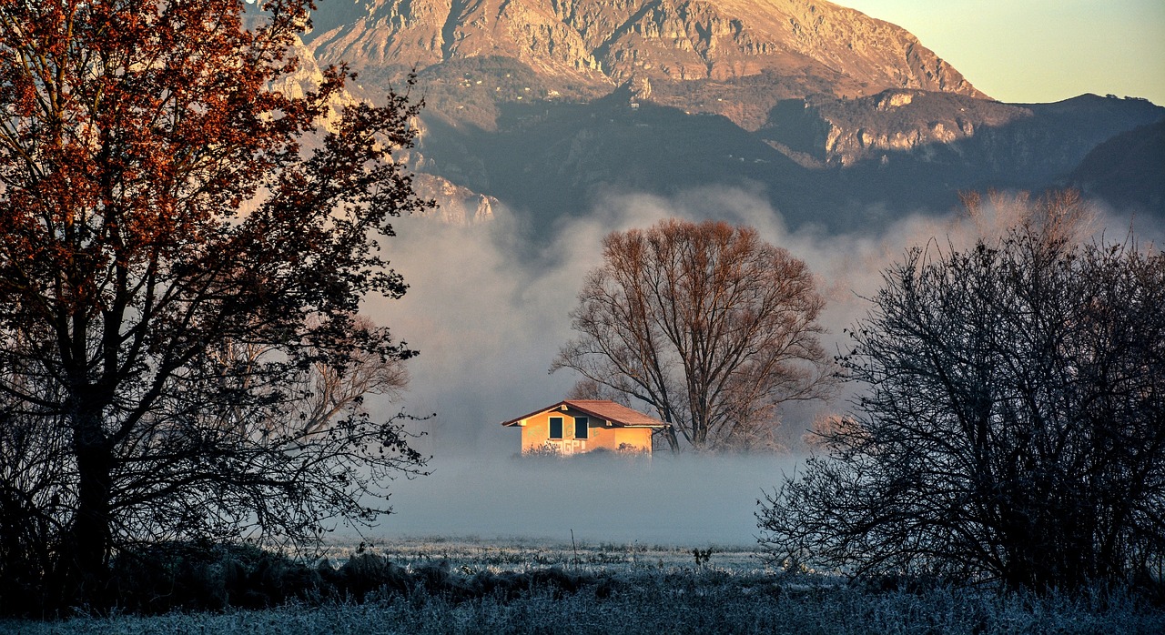 Image - fog house forest winter