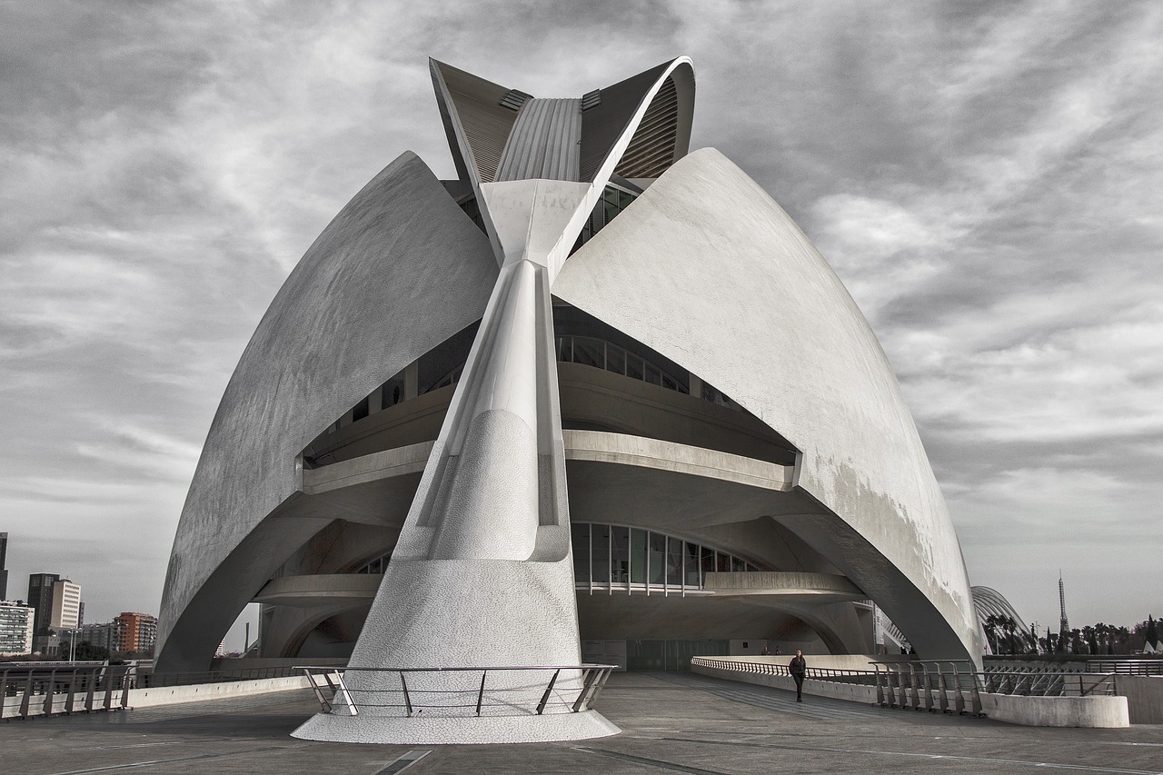 Image - cac city of sciences calatrava