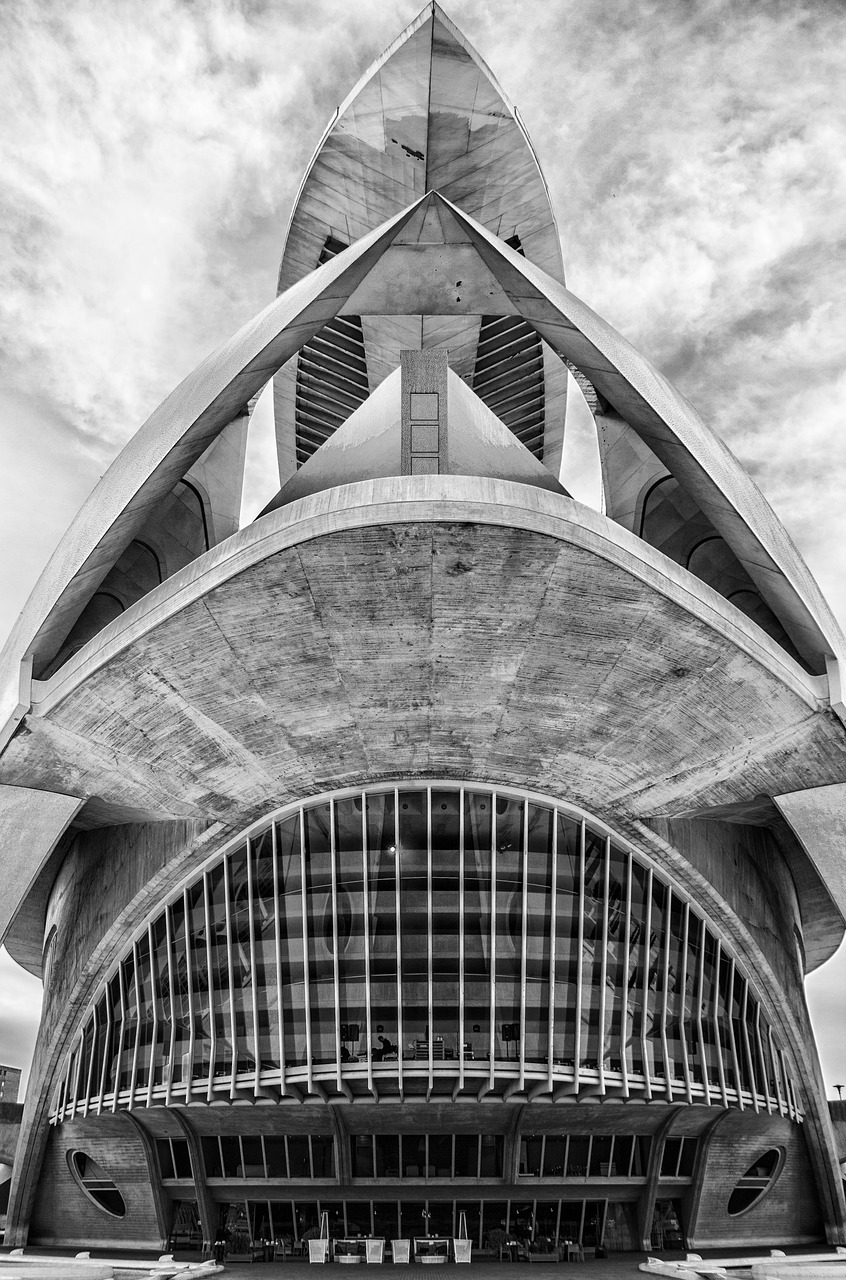 Image - cac city of sciences calatrava