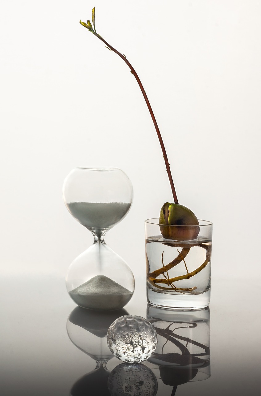 Image - time glass sprout white sand