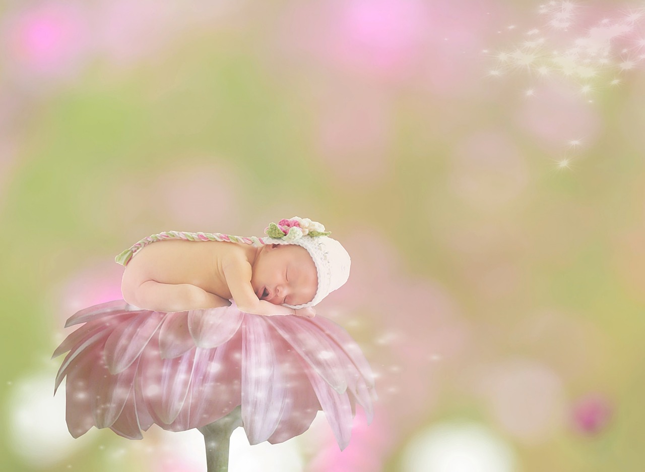 Image - baby gerbera female girl bokeh