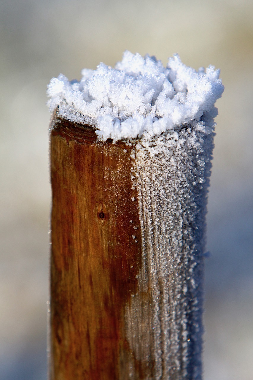 Image - wood pile icing frost frozen cold