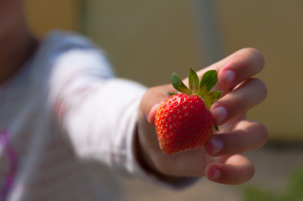 Image - strawberries hand child fruit