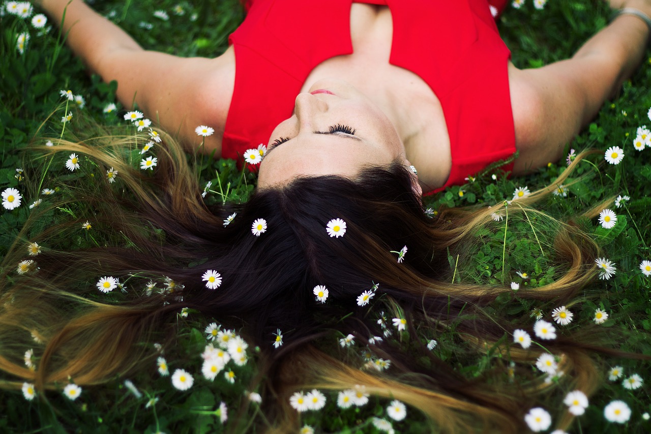 Image - model daisy flowers meadow yellow