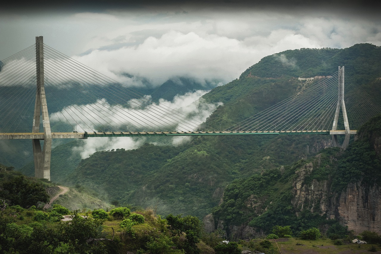 Image - bridge suspension building nature