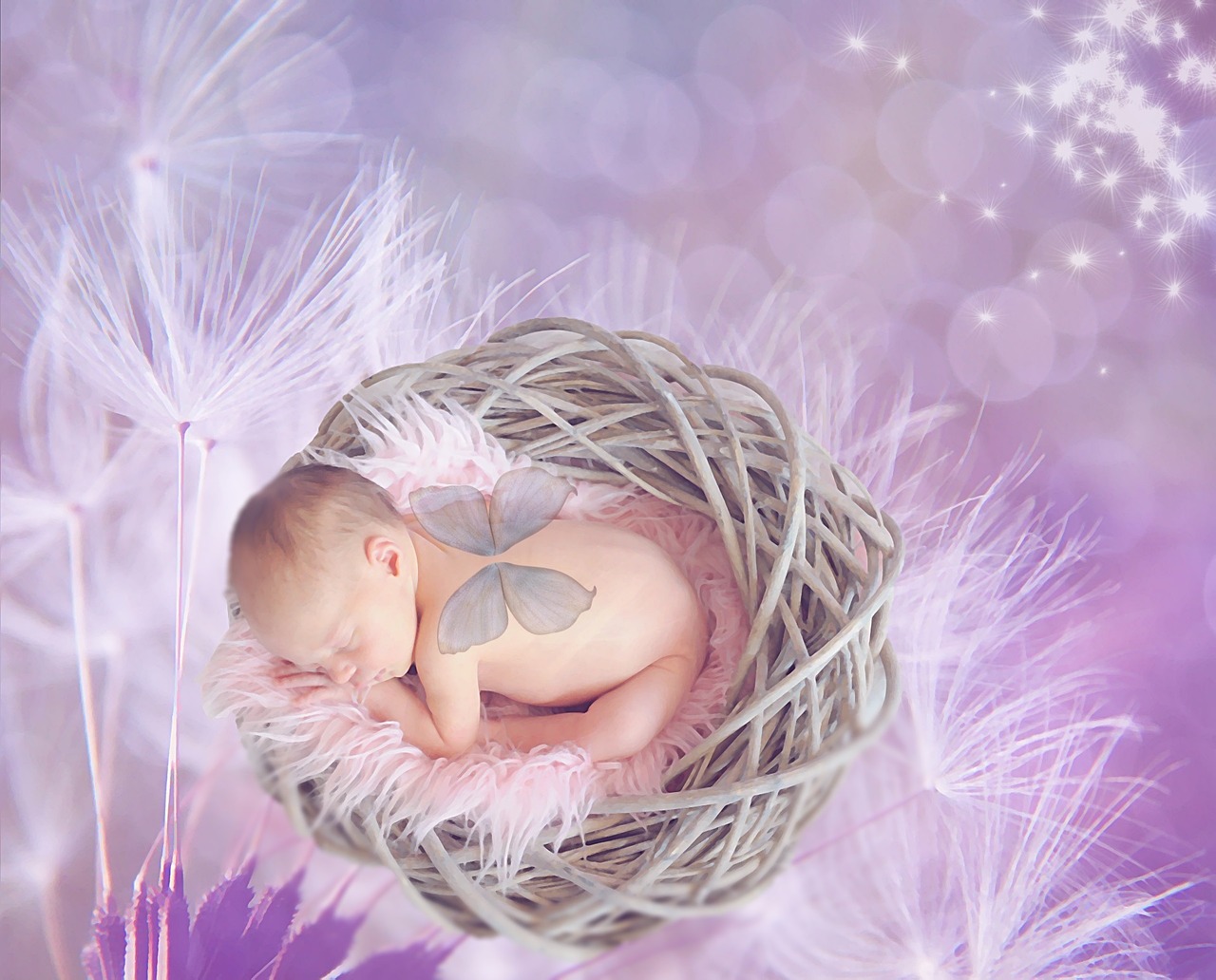 Image - baby dandelion female girl bokeh