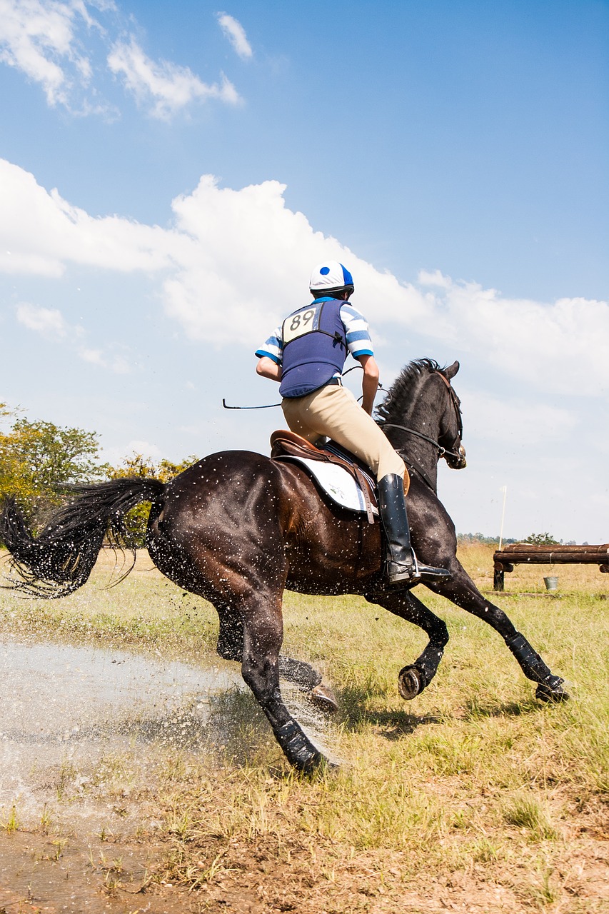 Image - horse and rider cornering at speed