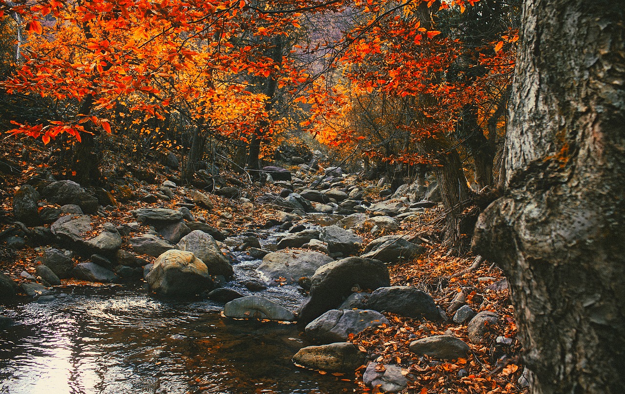 Image - romania landscape scenic fall