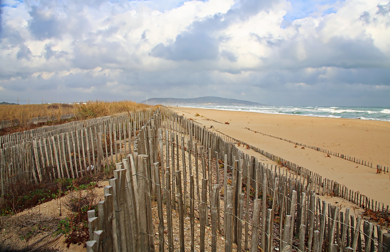 Image - beach sand closing beige palisade