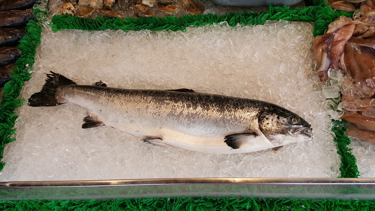 Image - salmon whole fish market food fish