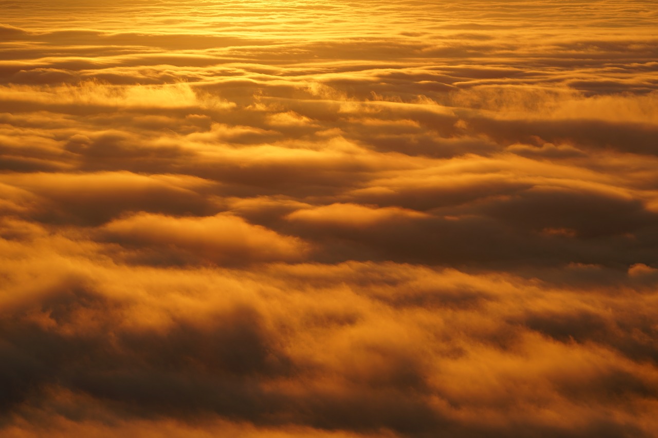 Image - selva marine clouds sea of fog