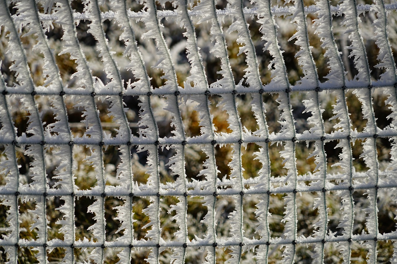 Image - fence hoarfrost snow crystals iced