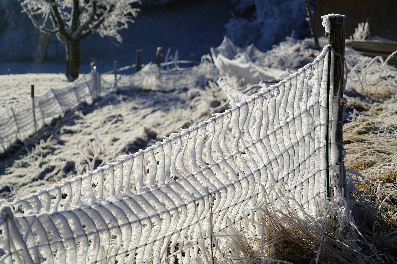 Image - fence post hoarfrost snow crystals