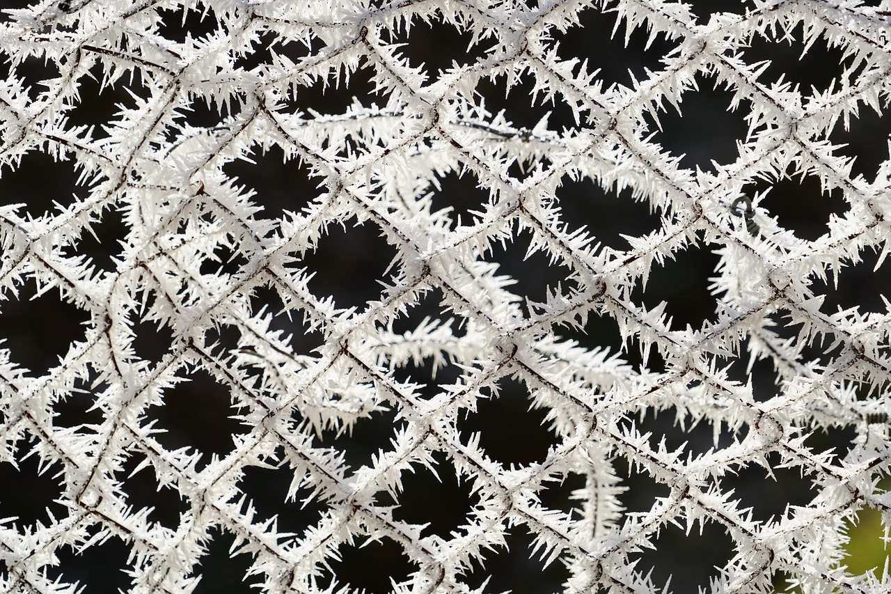 Image - fence hoarfrost snow crystals iced