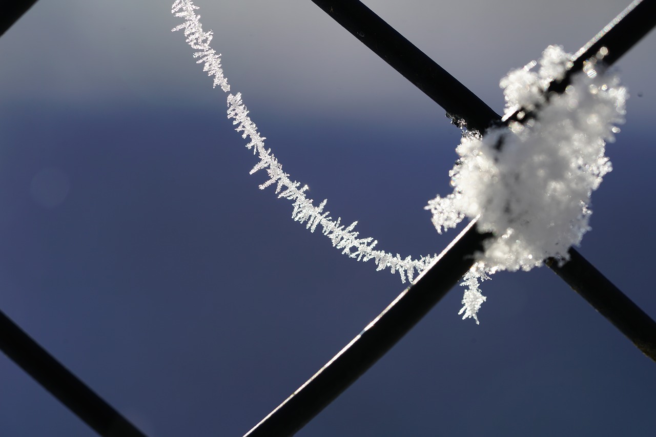 Image - spinnwebfaden hoarfrost eiskristalle