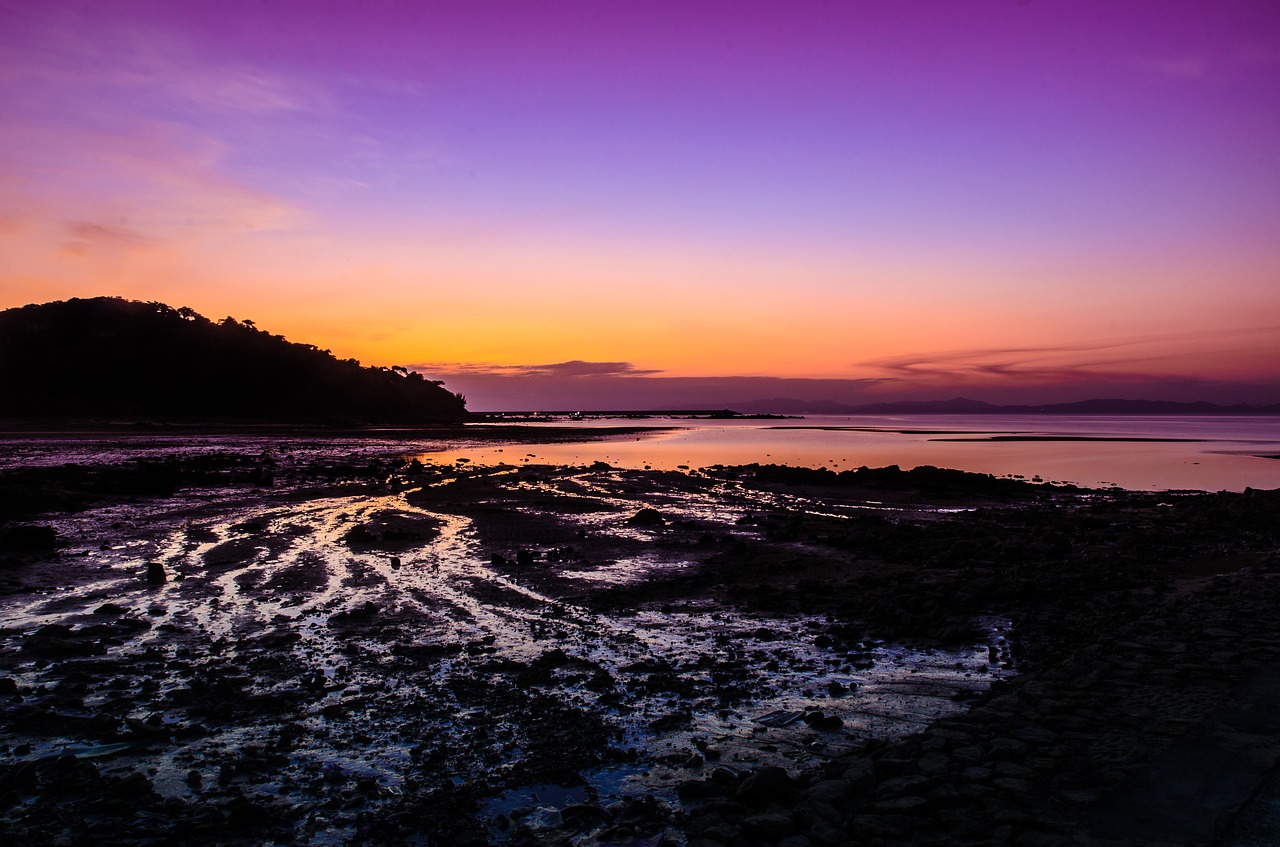 Image - sunset the sea violet sky water