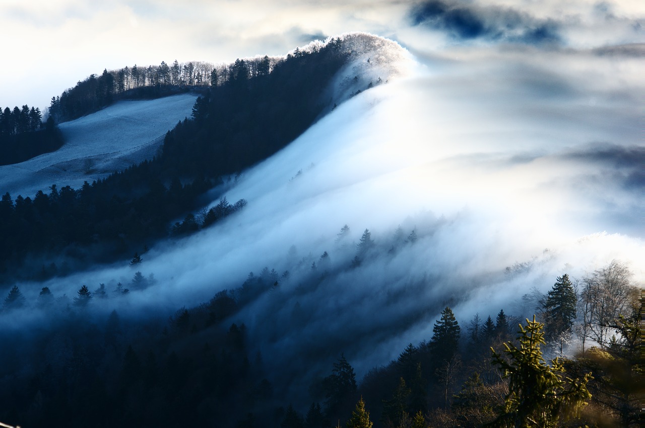 Image - wave of fog fog nebellandschaft