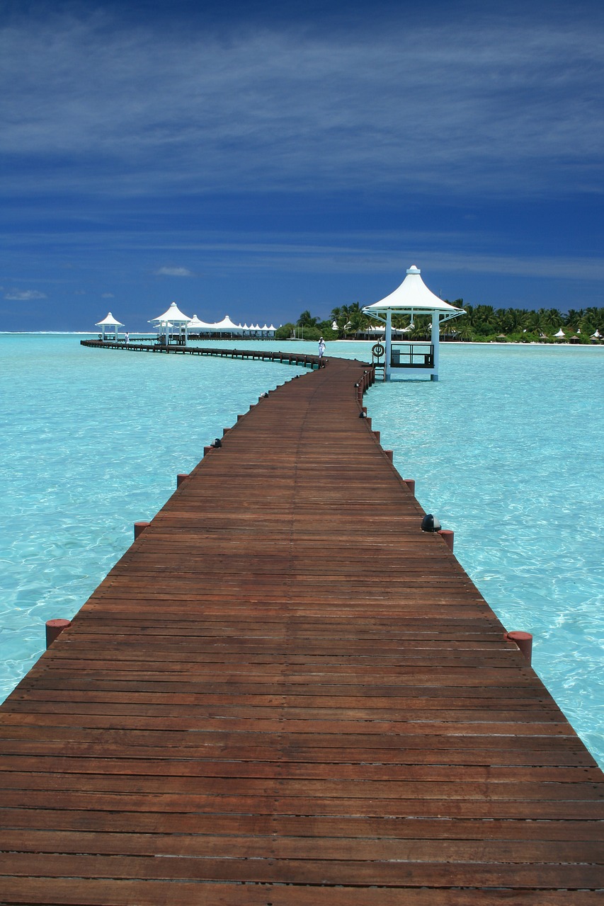 Image - maldives travel indian ocean ocean