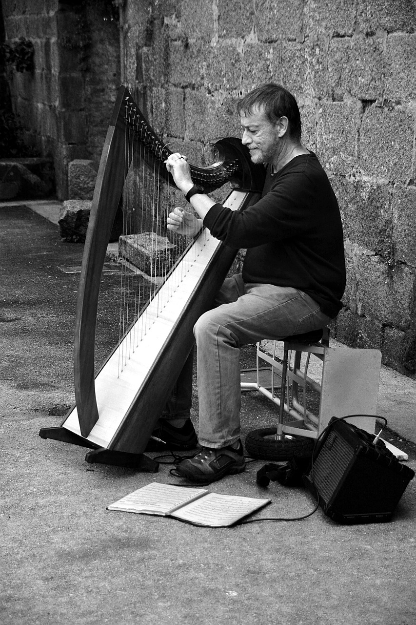 Image - harp harpist strings artist