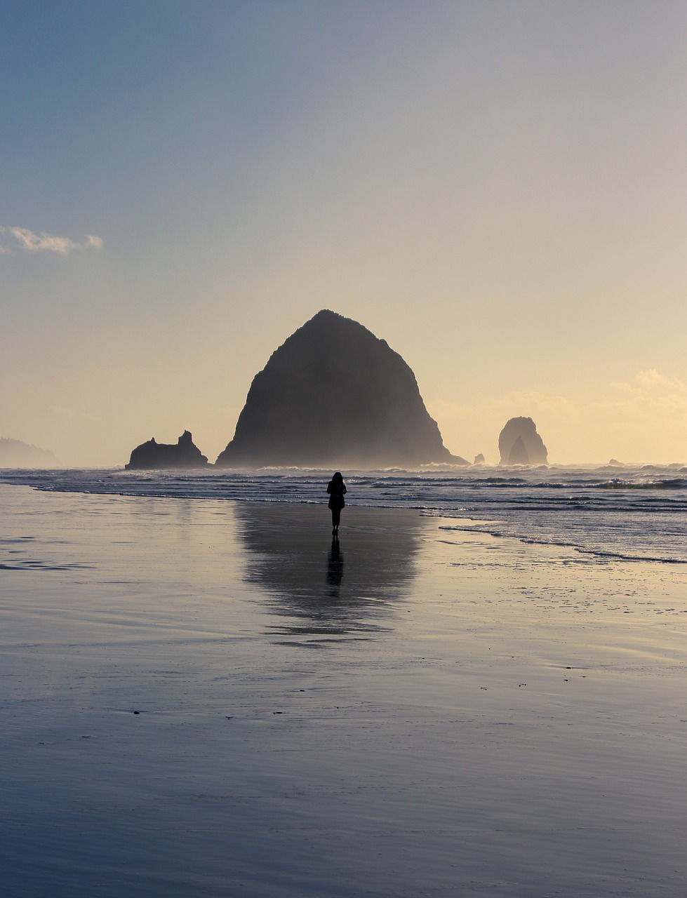 Image - ocean pacific nature symmetry rock