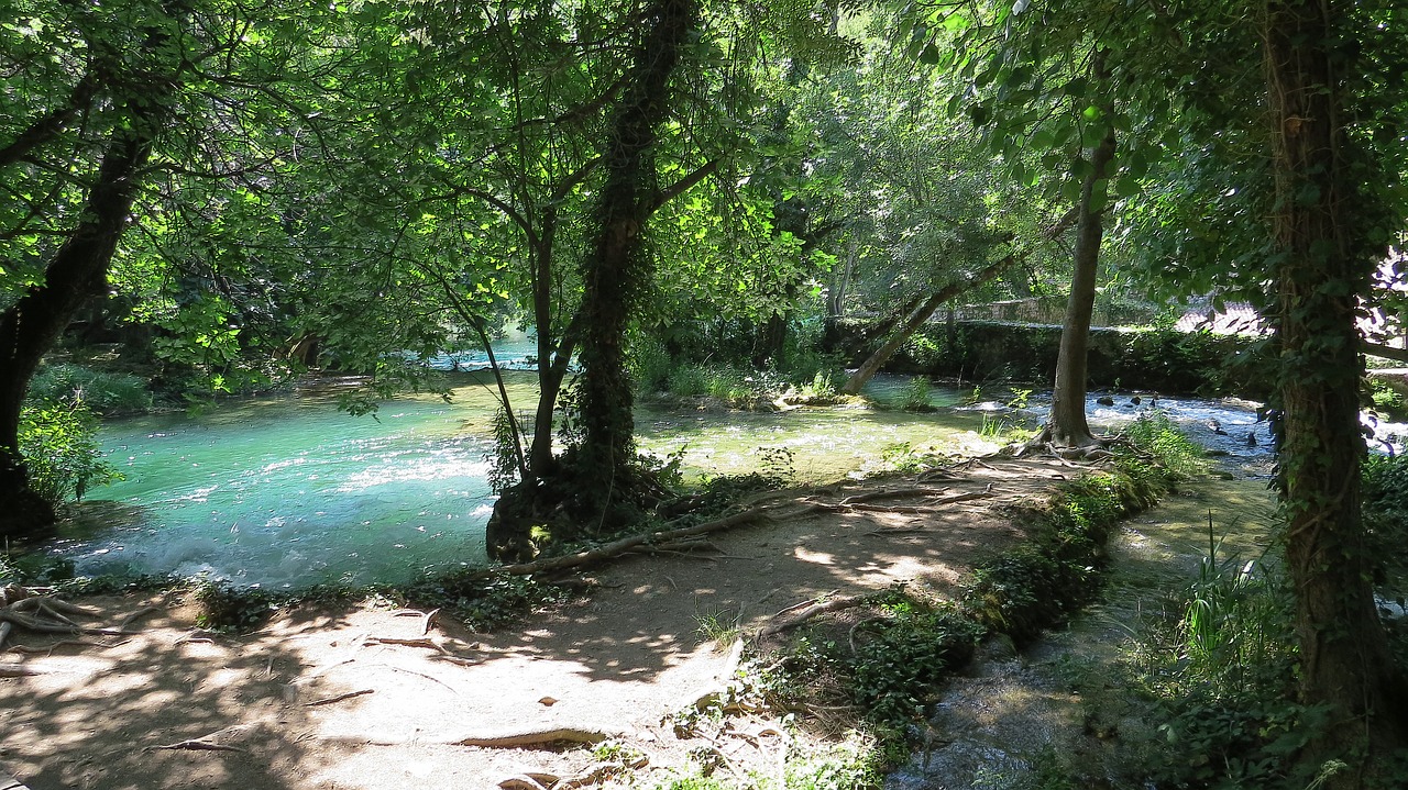 Image - river tree nature beautiful view