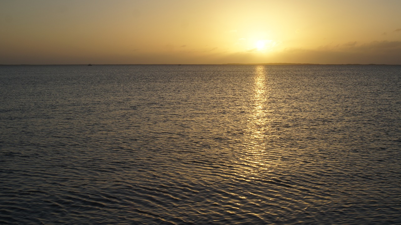 Image - keywest florida boat sea boot