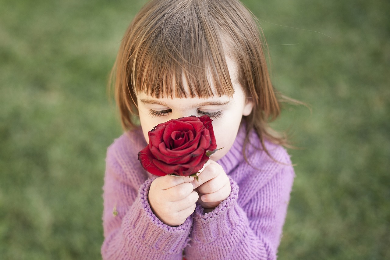 Image - rose girl red smelling