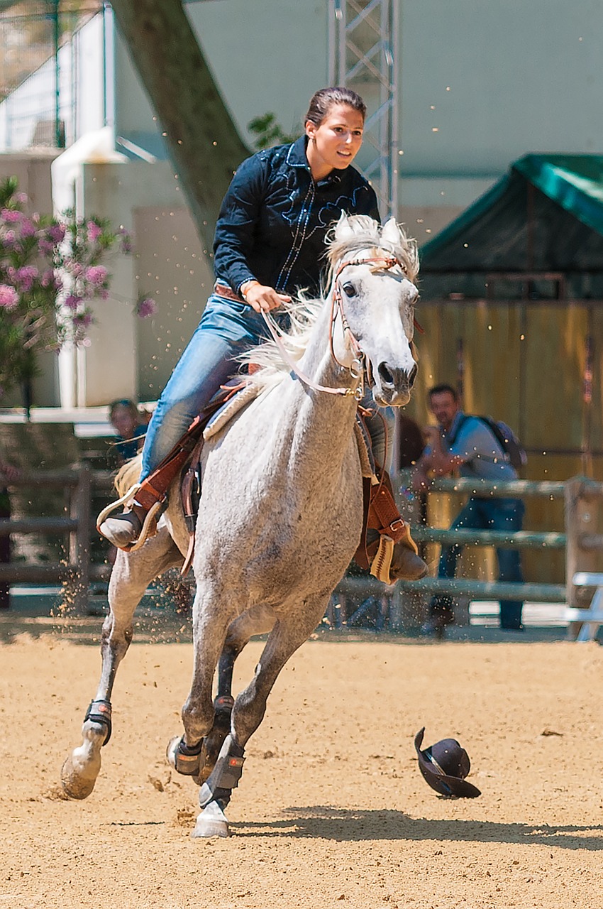 Image - racing contest equestrian horse