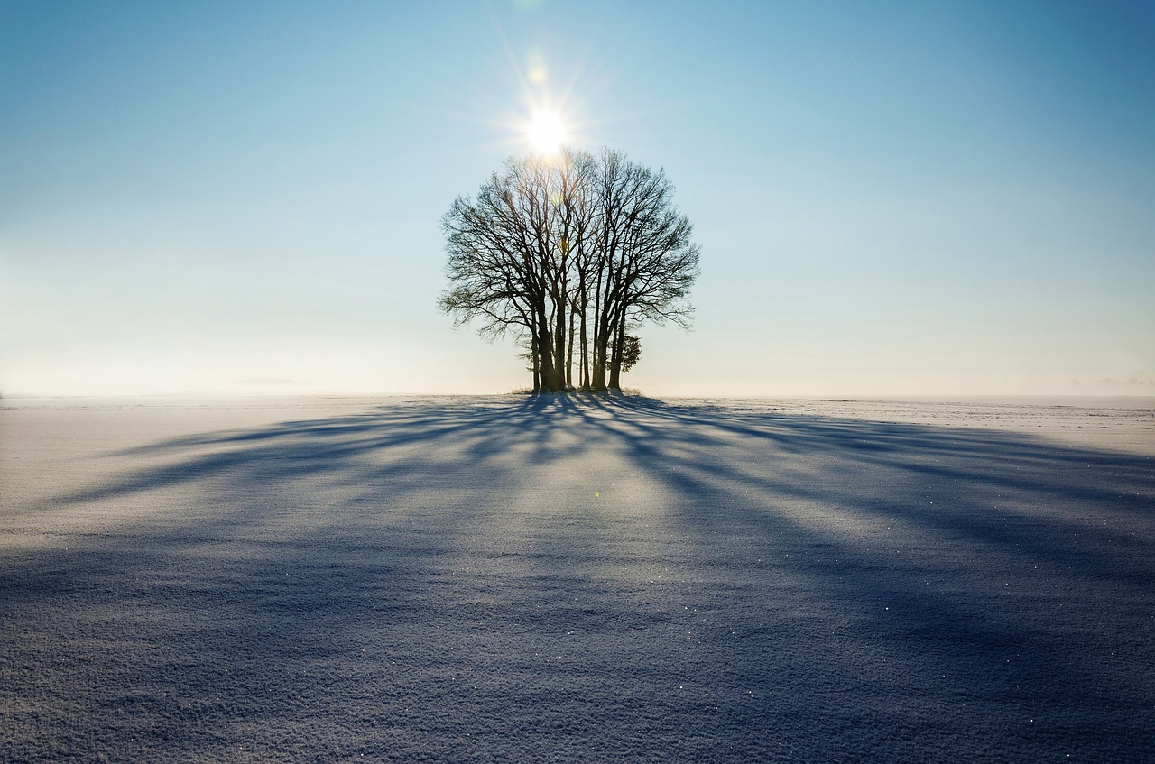 Image - winter landscape tree lonely