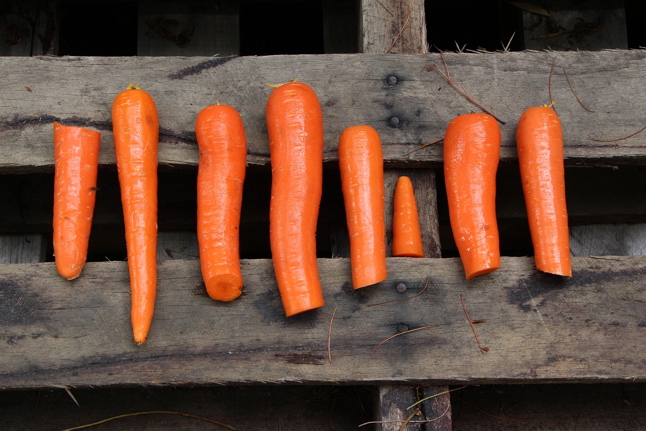 Image - orange wood carrots chop chopped