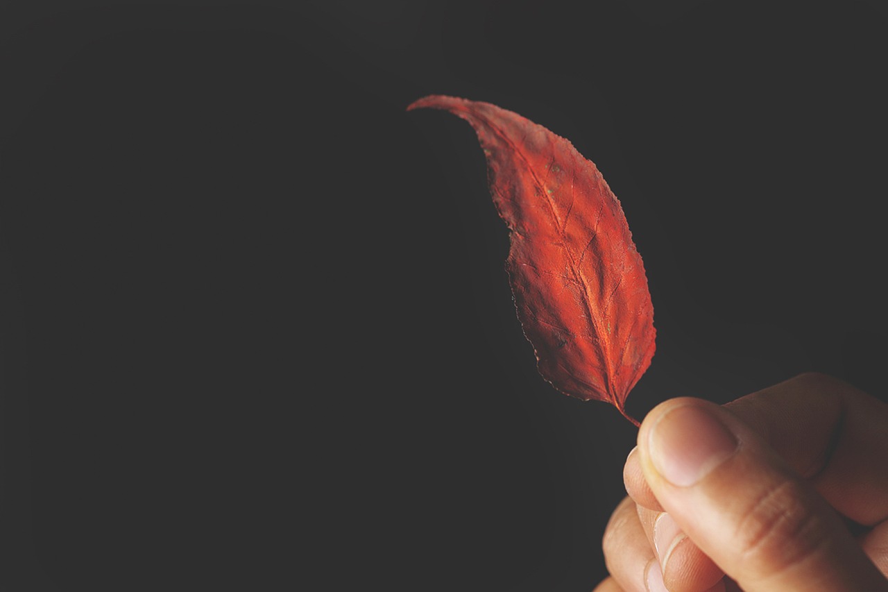 Image - the leaves finger black