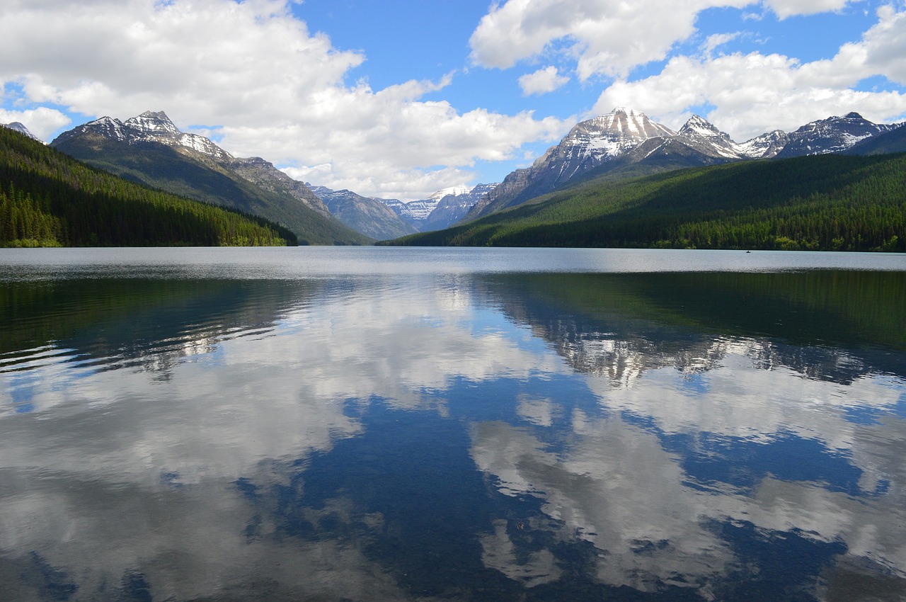 Image - bowman lake mountains water