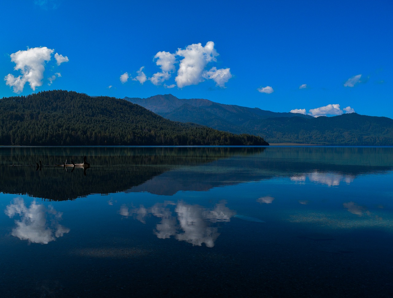 Image - lake water rara nepal forest