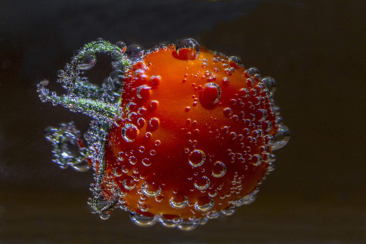 Image - bush tomato tomato tomato vigne