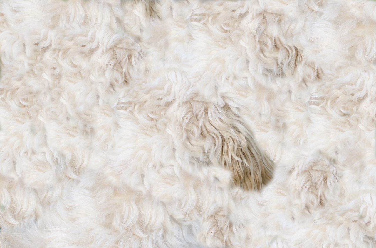 Image - animal dog fur pelt skin leather