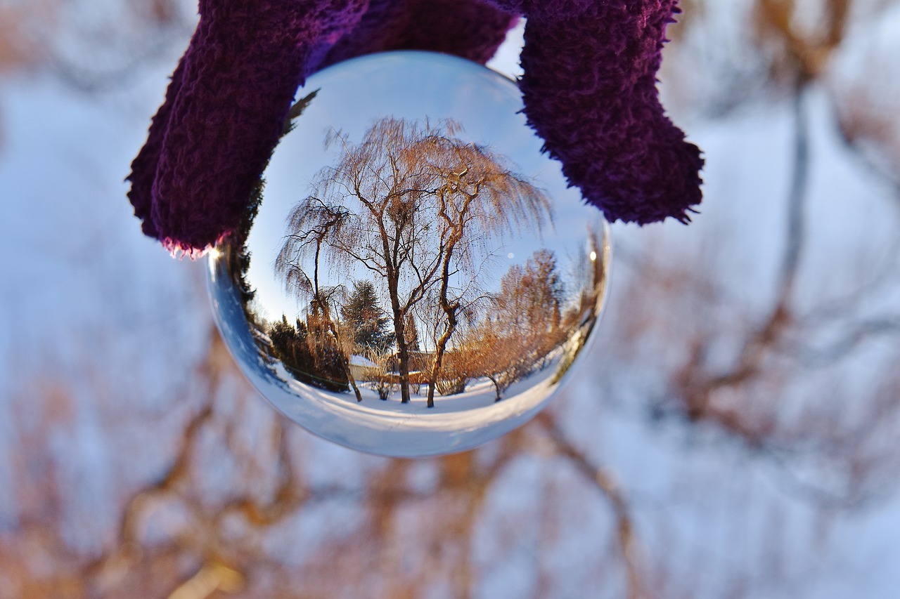 Image - ball glass mirroring trees
