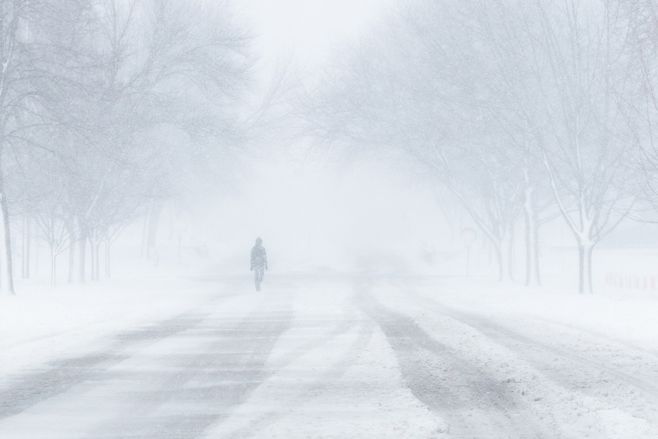 Image - blizzard snow winter walk cold