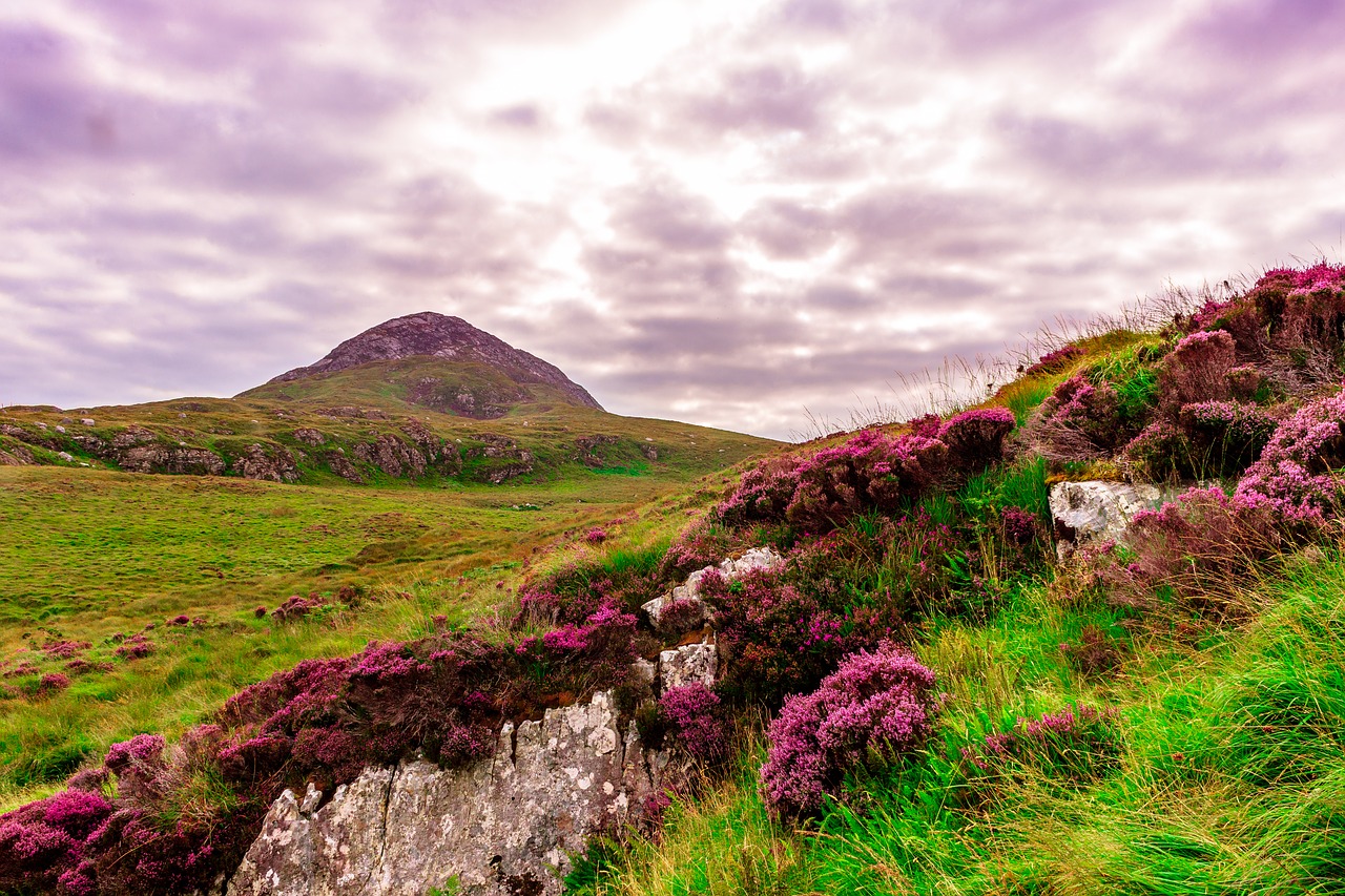 Image - ireland meadow green grass nature