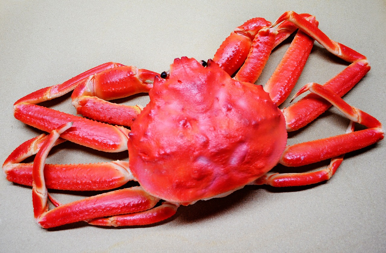 Image - snow crab crab food seafood cooked