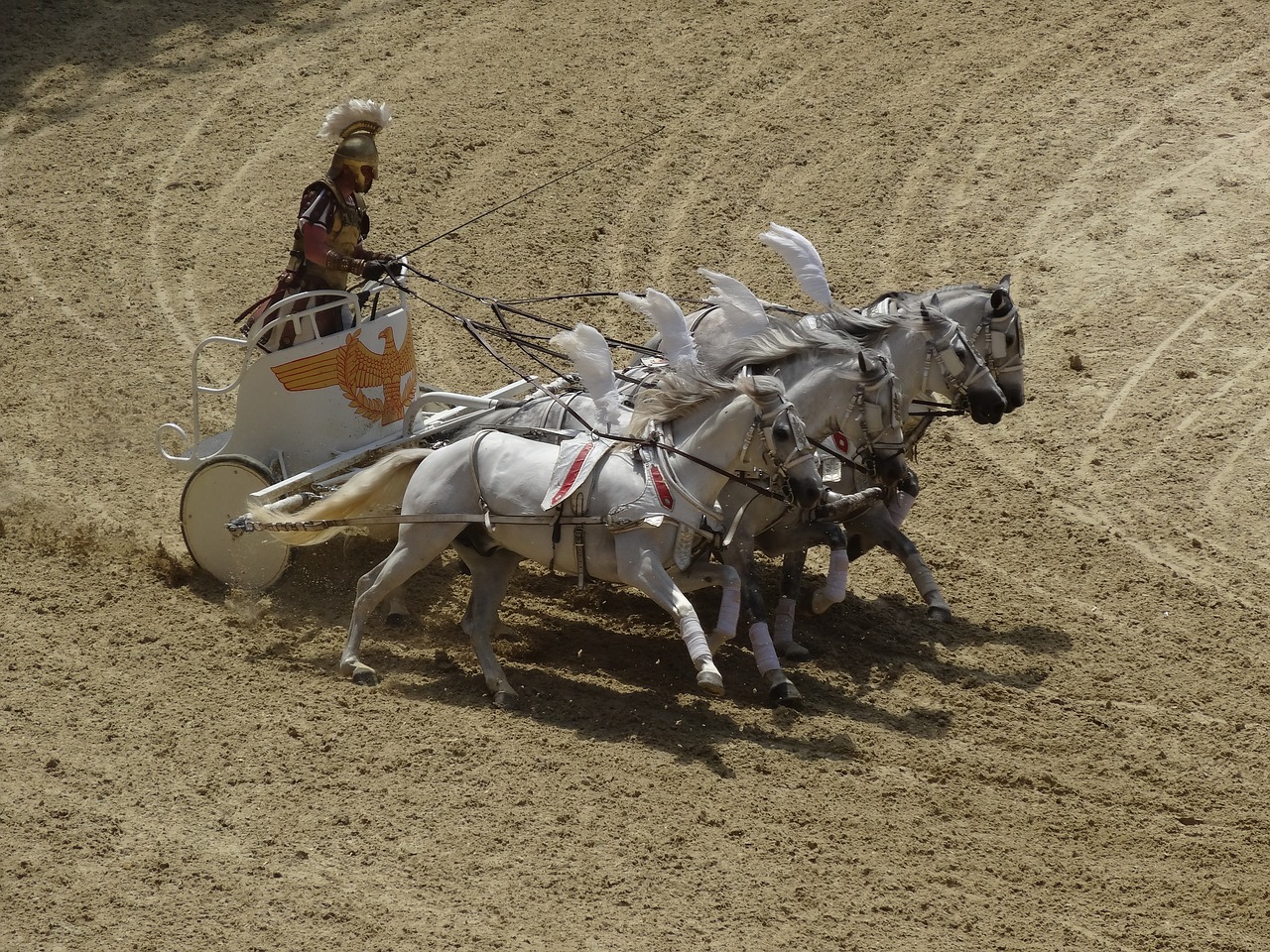 Image - horses roman arena historic race