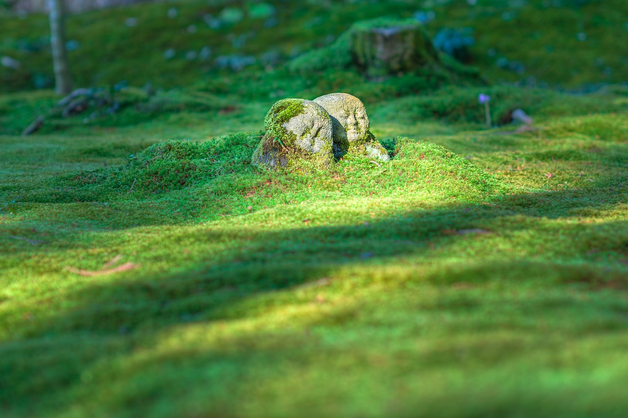 Image - jizo japan garden japanese